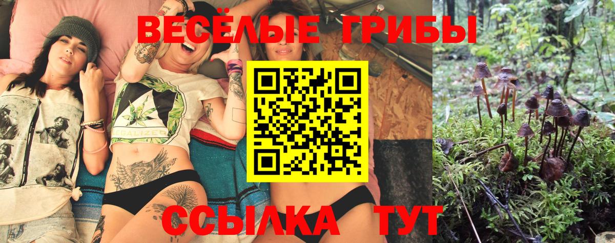 Набережные Челны  Галлюциногенные грибы ЛСД  Псилоцибиновые грибы Magic Shrooms  хочу наркоту  Вход с VPN 